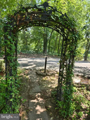 a view of outdoor space with deck and tree