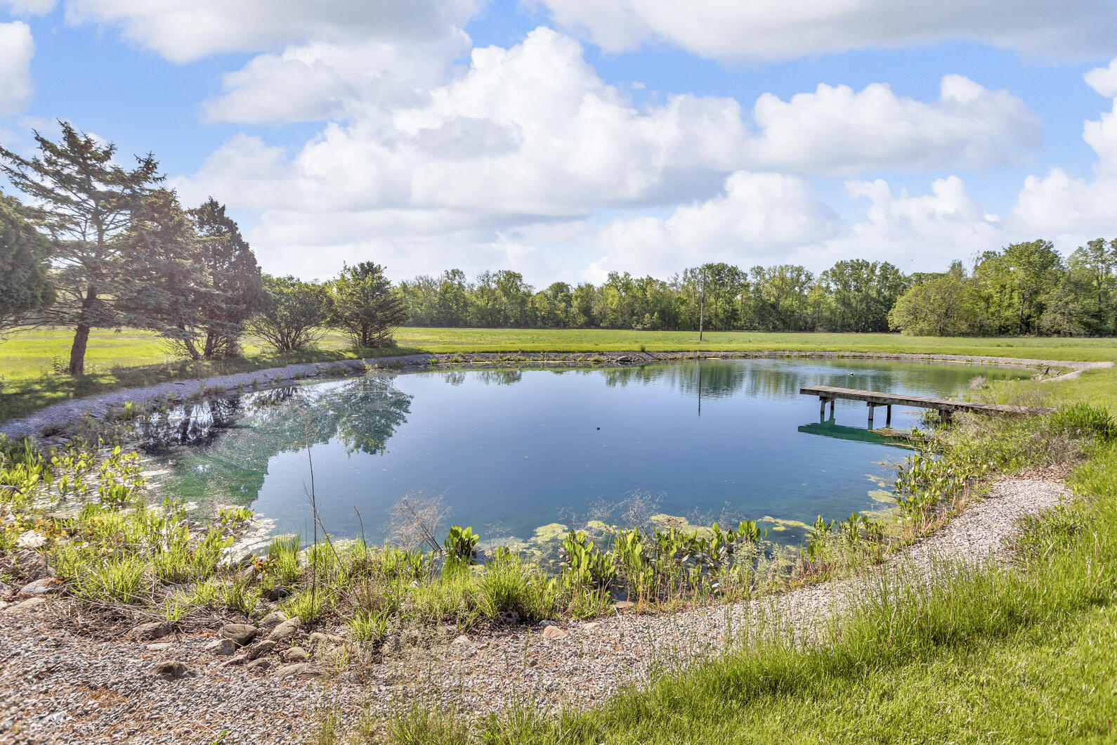 2595 Fike Road Jasper, MI 49248 - Photo 9 of 45 0N0A2623