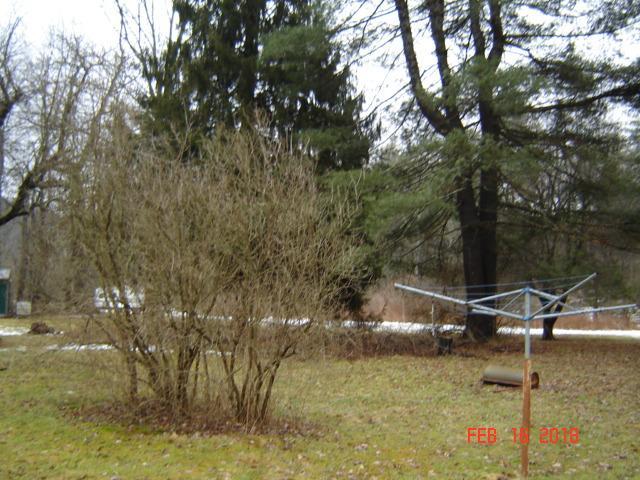 258 Six Mile Road Tiona, PA 16352 - Photo 3 of 8 Gallery Image 3