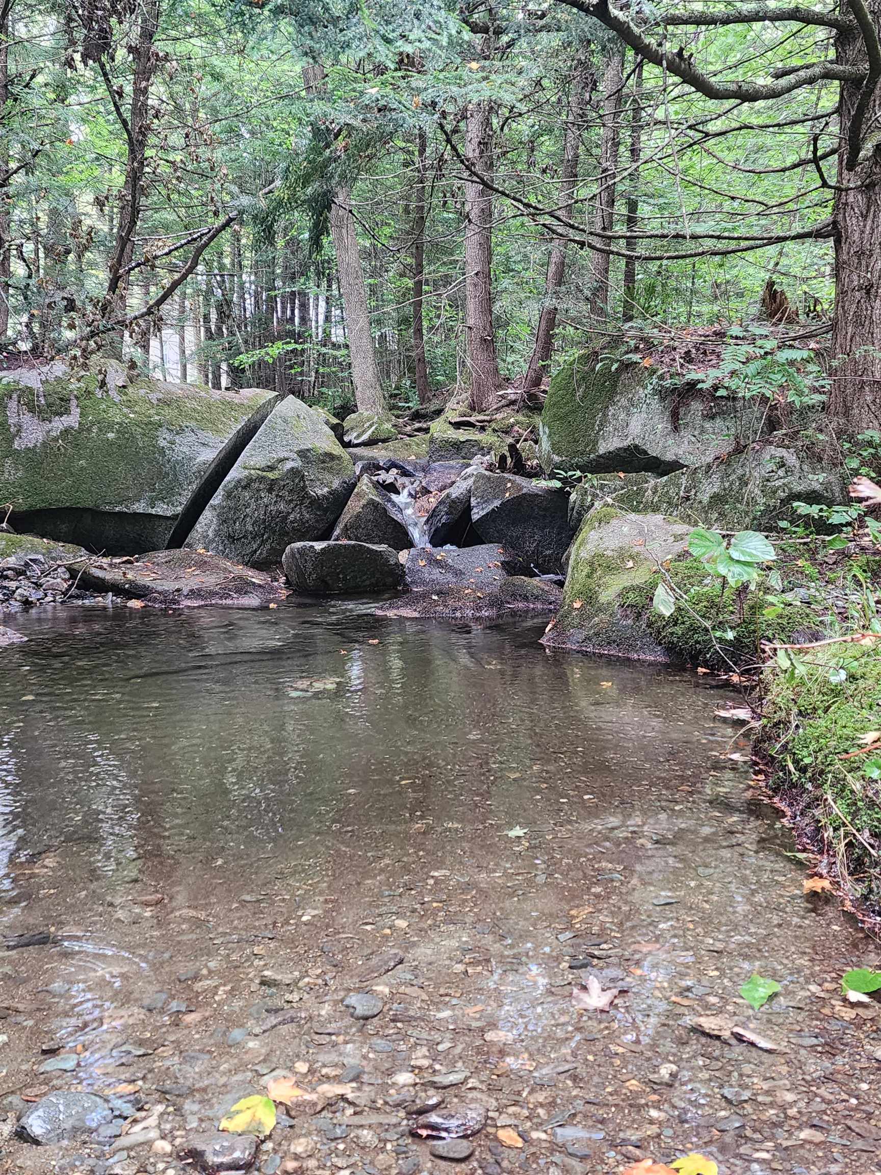 0 Piermont Heights Road Piermont, NH 03779 - Photo 5 of 11