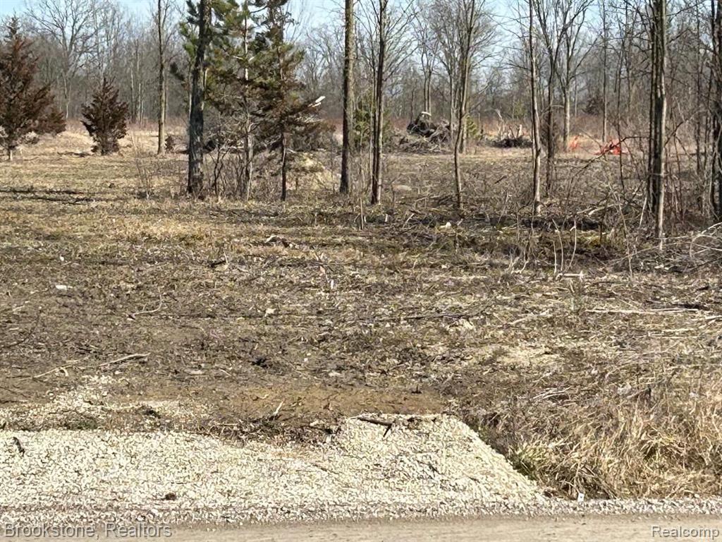 0 Omo Road New Haven, MI 48096 - Photo 3 of 9