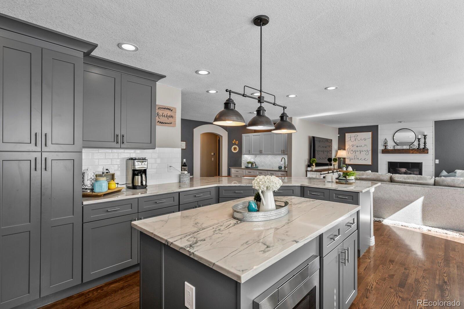 10238 Andee Way Highlands Ranch, CO 80130 - Photo 16 of 40