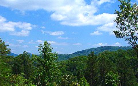 12 Tanglewood Trail Blue Ridge, GA 30513 - Photo 1 of 1 Main View
