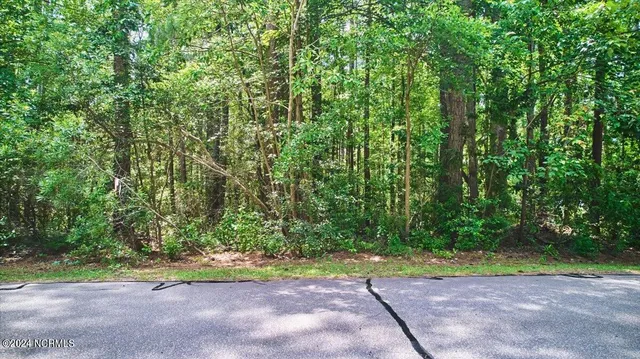 $110,000 | 16 Lakeshore Drive, Wagram, NC 28396