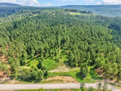 $219,000 | 0 Birds Eye Way, Unit 1097, Guild, TN 37340