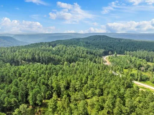 $219,000 | 0 Birds Eye Way, Unit 1097, Guild, TN 37340