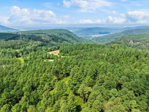 $219,000 | 0 Birds Eye Way, Unit 1097, Guild, TN 37340