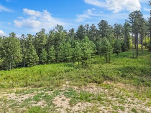 $219,000 | 0 Birds Eye Way, Unit 1097, Guild, TN 37340