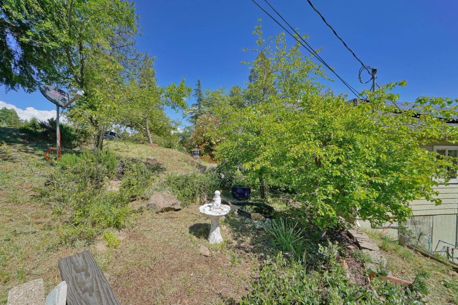 4117 Pearl Road Pollock Pines, CA 95726 - Photo 46 of 47 a backyard of a house with lots of green space
