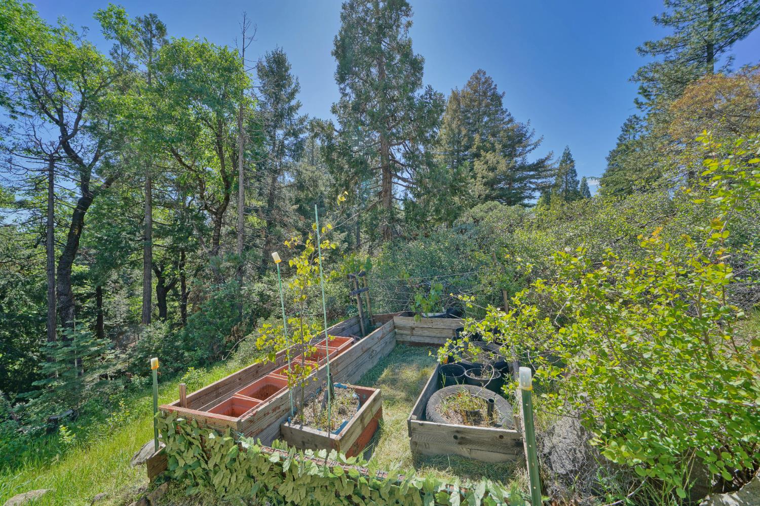4117 Pearl Road Pollock Pines, CA 95726 - Photo 47 of 47 a view of a yard with chairs