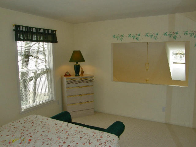7301 North Poplar Road Free Soil, MI 49411 - Photo 34 of 65 Bedroom #2-2