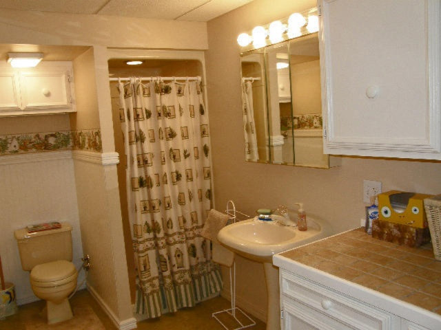 7301 North Poplar Road Free Soil, MI 49411 - Photo 51 of 65 Lower Level Bathroom