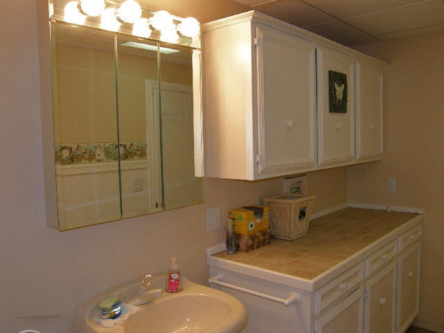 7301 North Poplar Road Free Soil, MI 49411 - Photo 52 of 65 Lower Level Bathroom2