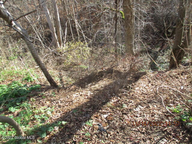 1742 Creek Road Crown Point, NY 12928 - Photo 16 of 90 IMG_0572