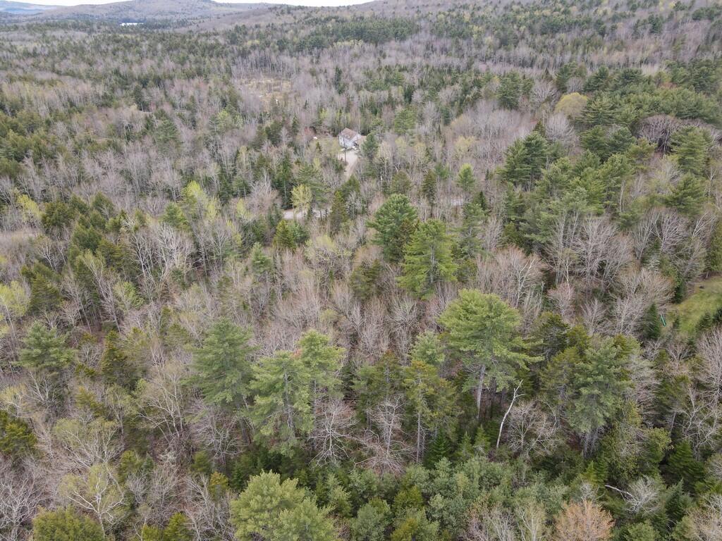 M004-l009e East Bucksport Road Orrington, ME 04474 - Photo 12 of 15