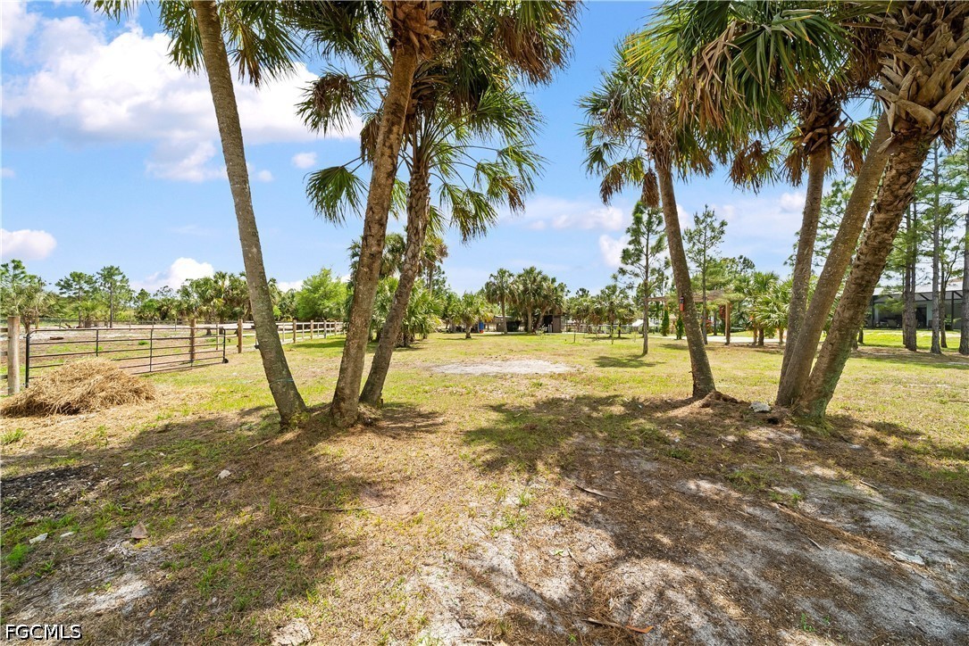 4498 8th Street Northeast Naples, FL 34120 - Photo 37 of 49 a view of a yard with palm trees