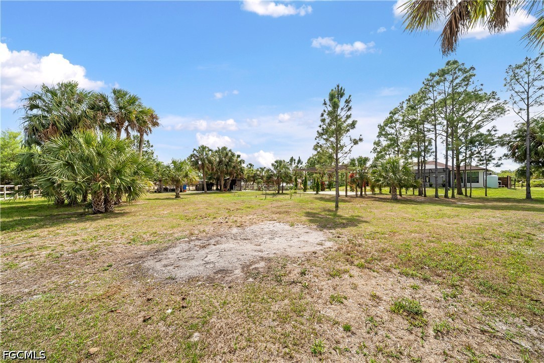 4498 8th Street Northeast Naples, FL 34120 - Photo 39 of 49 a view of a park with palm trees