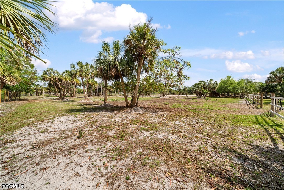 4498 8th Street Northeast Naples, FL 34120 - Photo 40 of 49 a view of outdoor space with garden and trees