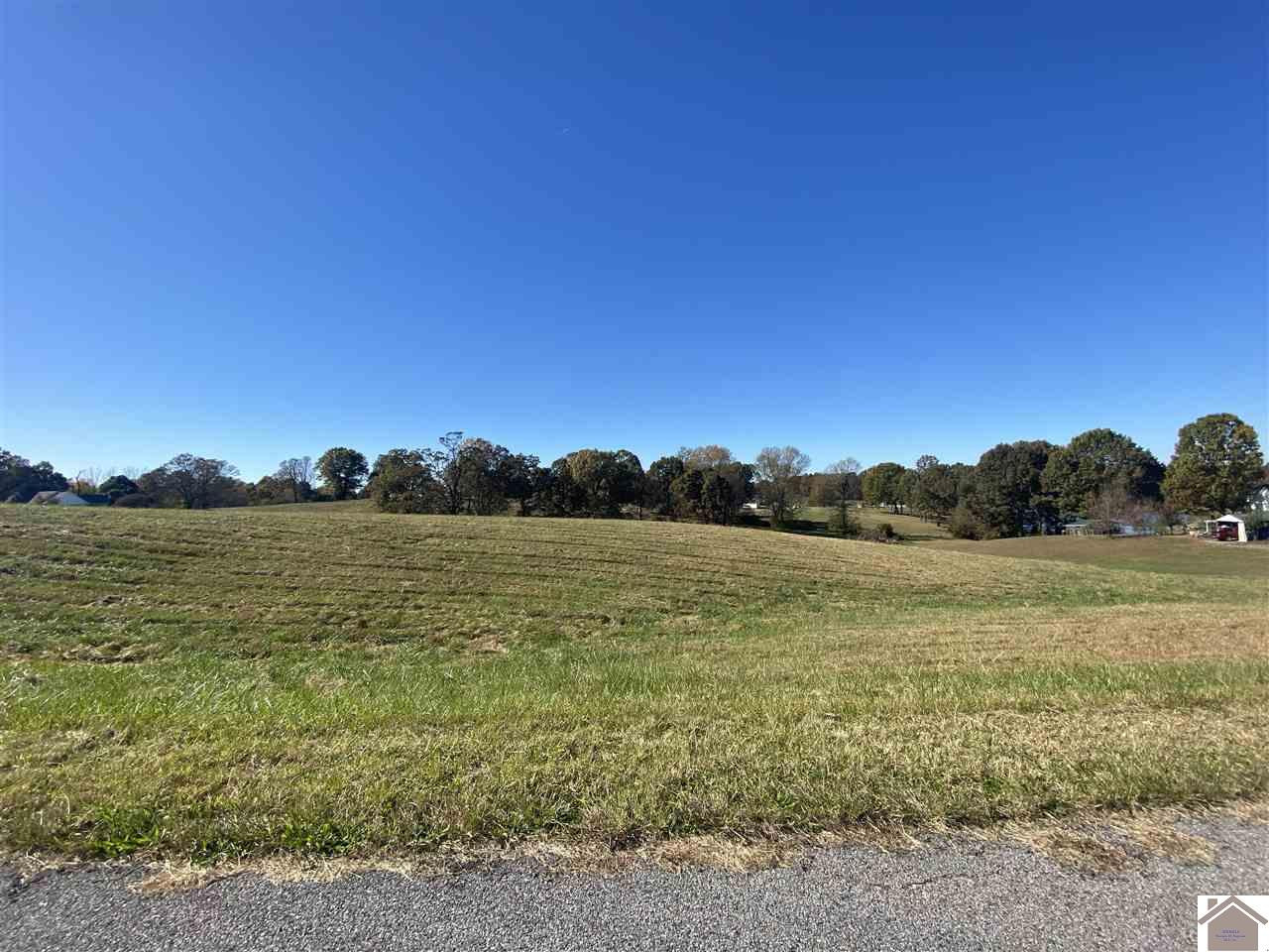 Lot #97 Rolling Meadows Road, Unit 97 Grand Rivers, KY 42045 - Photo 1 of 1 Photo 1