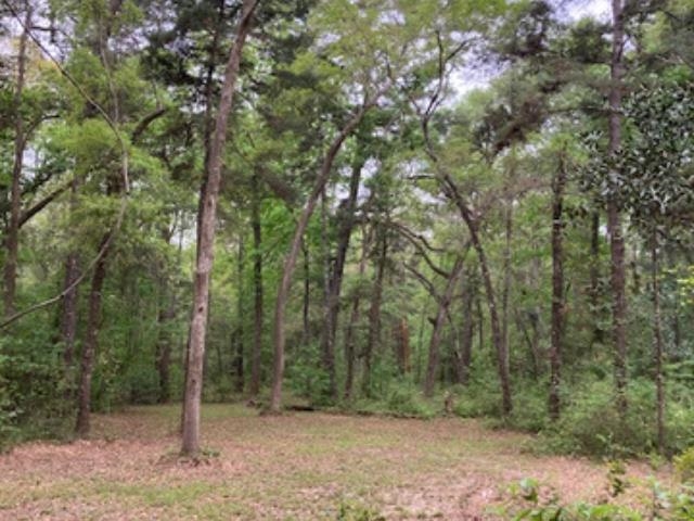 Xx Ridge Road Monticello, FL 32344 - Photo 11 of 19 Gallery Image 11