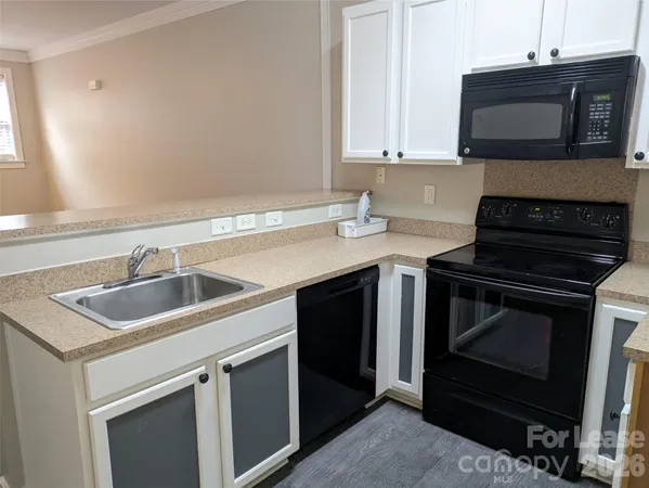 $1,750 | 234 Harbour Pl Drive, Davidson, NC 28036