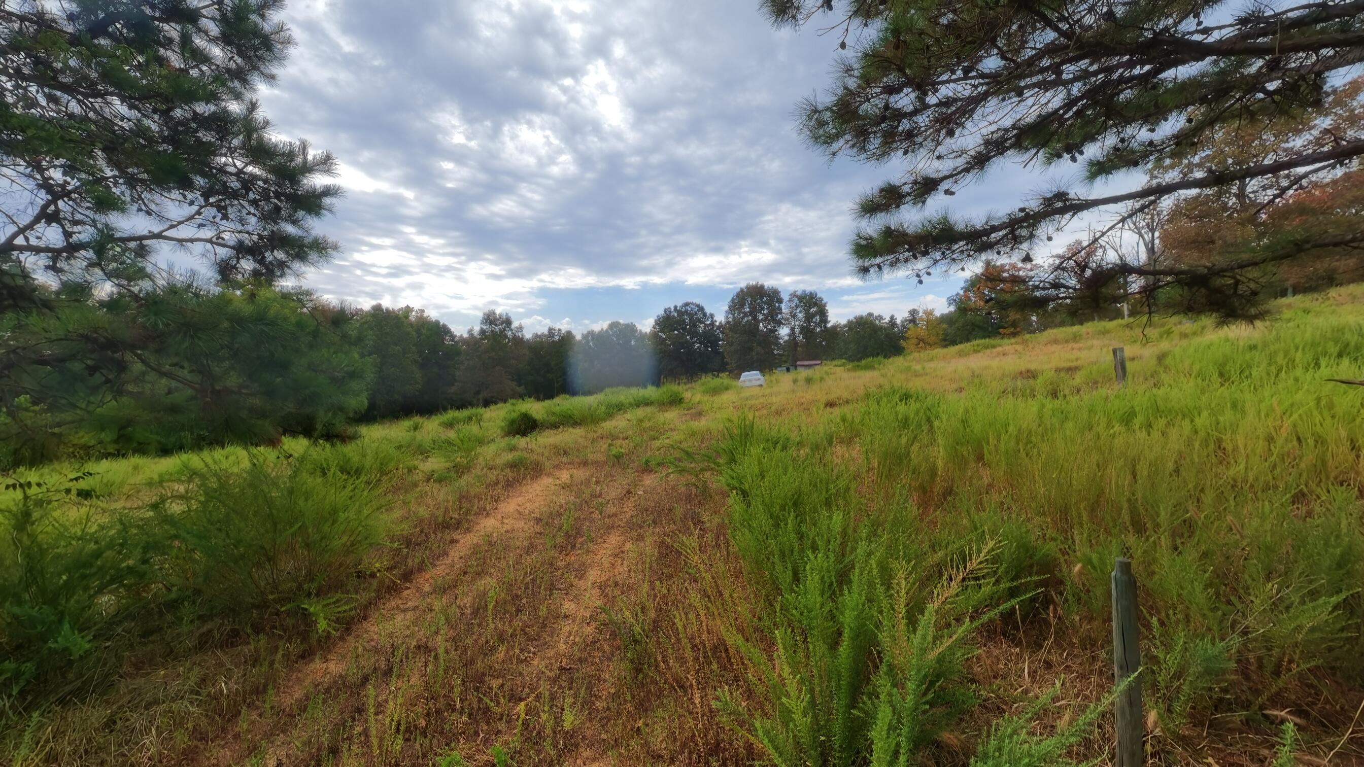 517 Sawmill Road Brockwell, AR 72517 - Photo 46 of 54 40 acres044