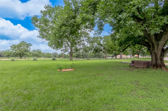 a view of a park with large trees