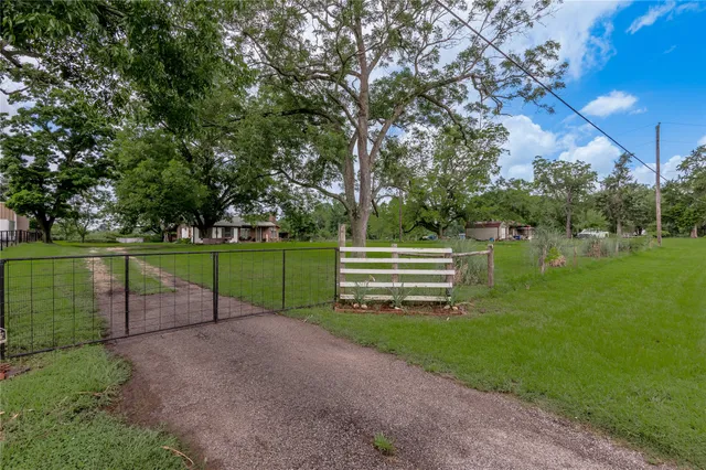 a view of a park with large trees