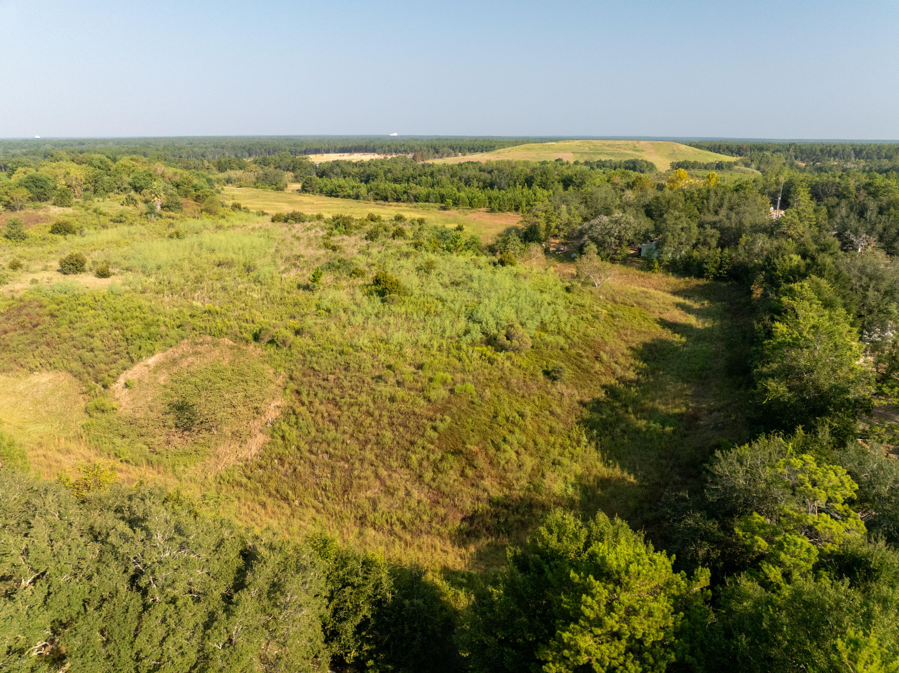 20 West Highway 20 Freeport, FL 32439 - Photo 12 of 24 a view of a green field with lots of trees