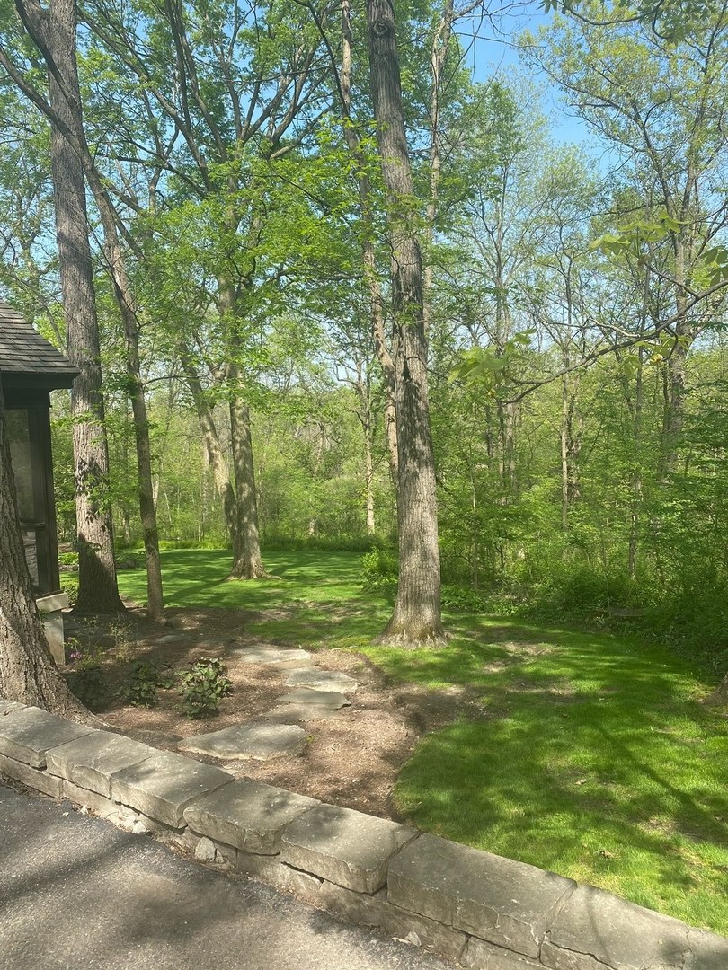 21447 North Andover Road Kildeer, IL 60047 - Photo 36 of 38 a view of a tree in a yard