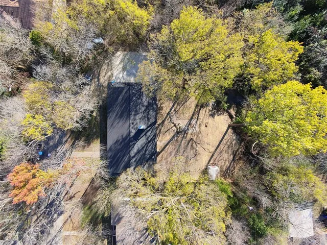 a view of a yard with plants and trees