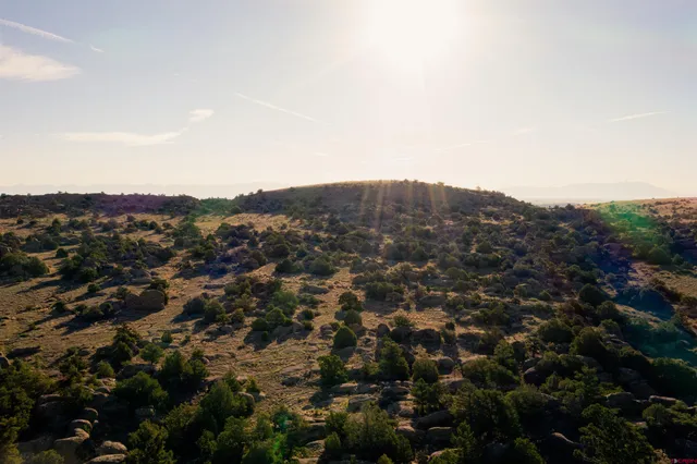 an aerial view of residential house and trees around