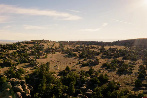 an aerial view of residential house and trees around