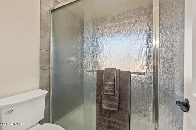 a bathroom with a shower and a toilet