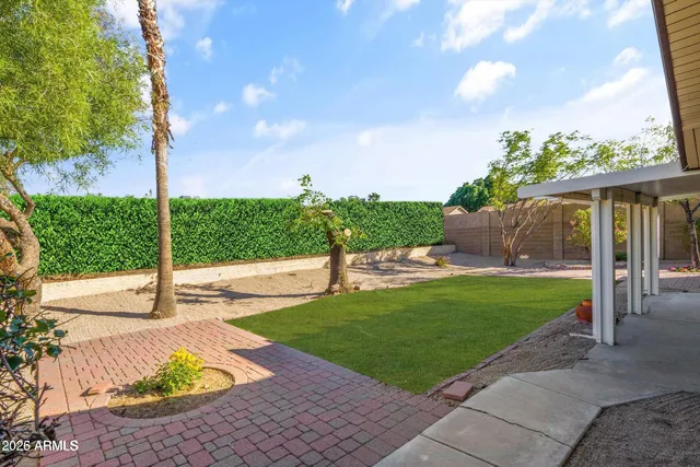 a view of a back yard