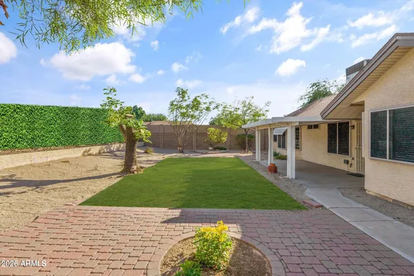 a view of a backyard with potted plants and a large tree