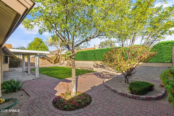 a view of a backyard