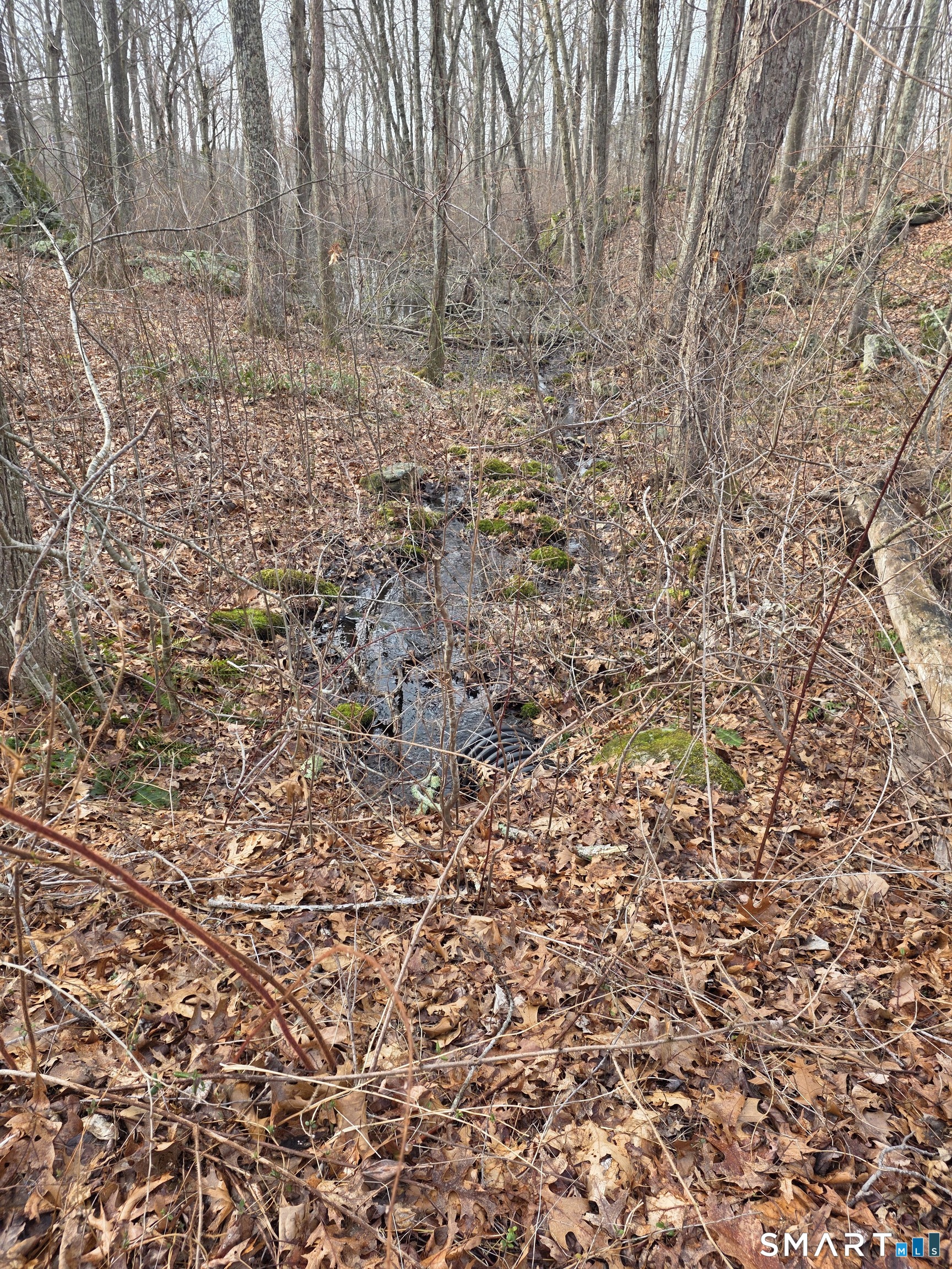 Brainard Road Westbrook, CT 06498 - Photo 2 of 4