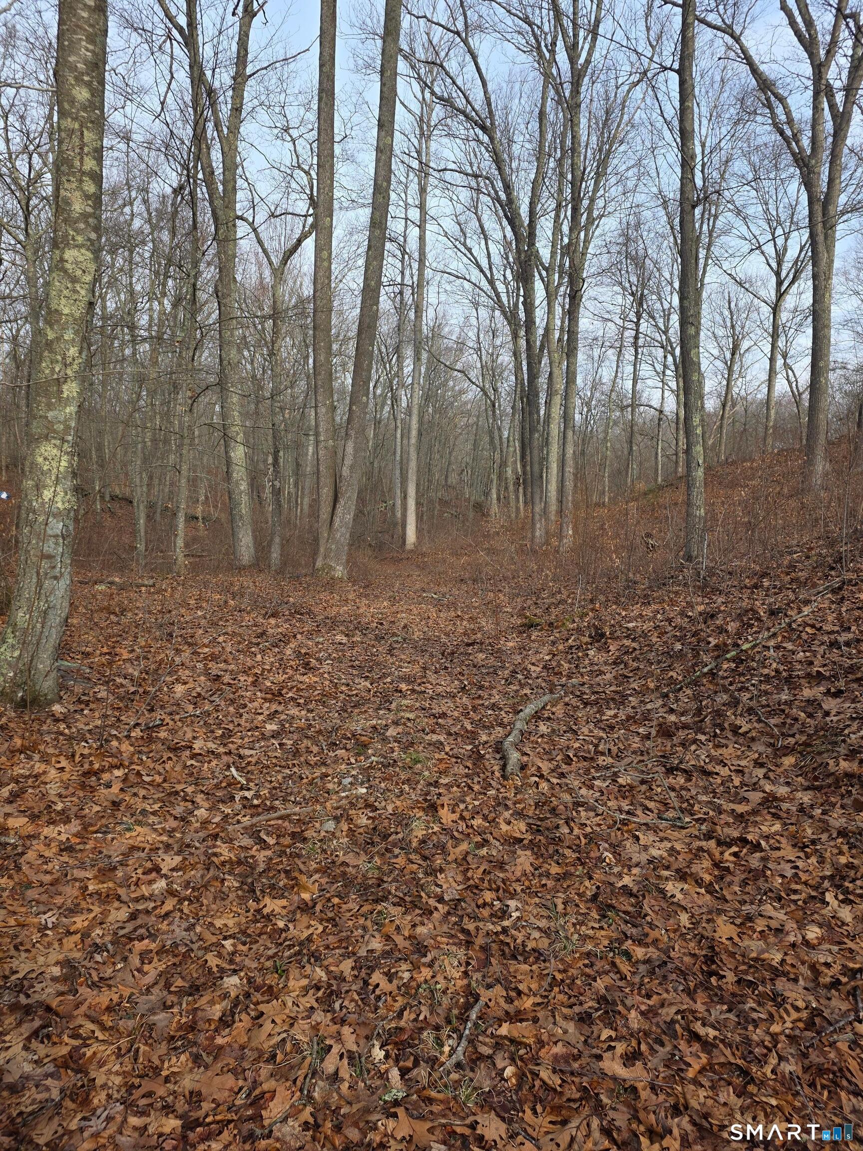 Brainard Road Westbrook, CT 06498 - Photo 3 of 4 a view of a yard