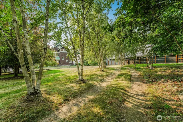 a view of a yard with a tree