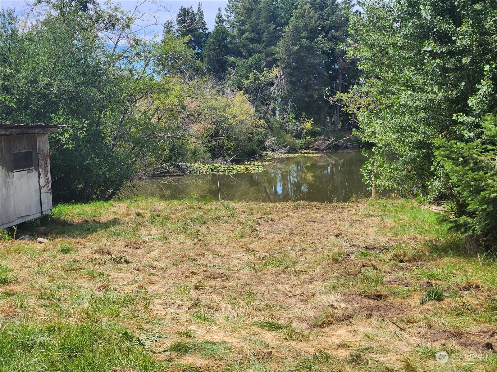 109 Streeter Road Silverlake, WA 98645 - Photo 7 of 31 Gallery Image 7