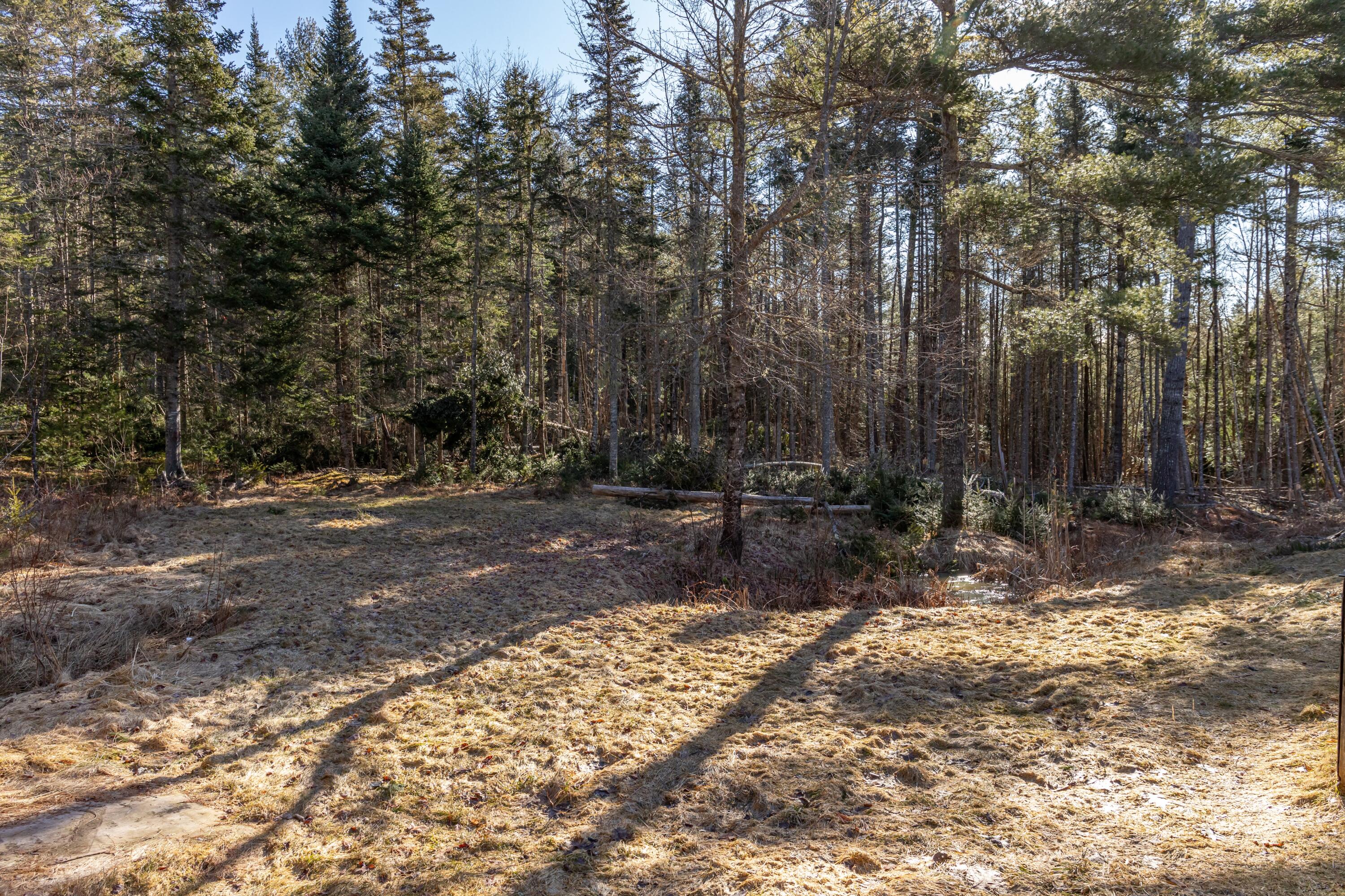 47 Dennis Road Orland, ME 04472 - Photo 31 of 37 Back yard