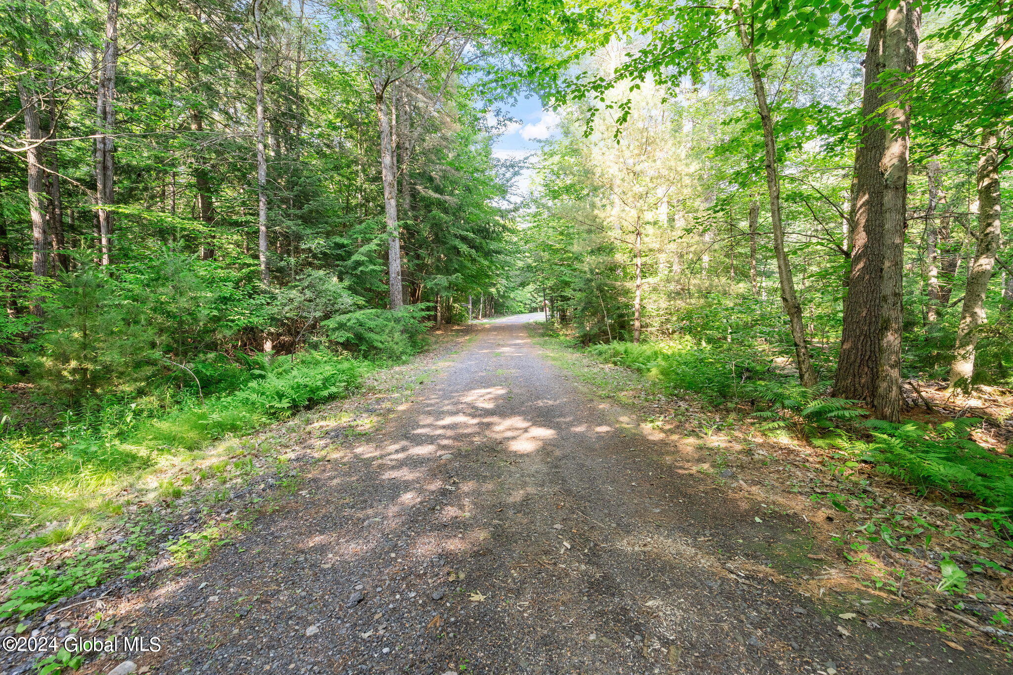 428 South Line Road Providence, NY 12074 - Photo 30 of 36 32-web-or-mls-438-south-line-rd