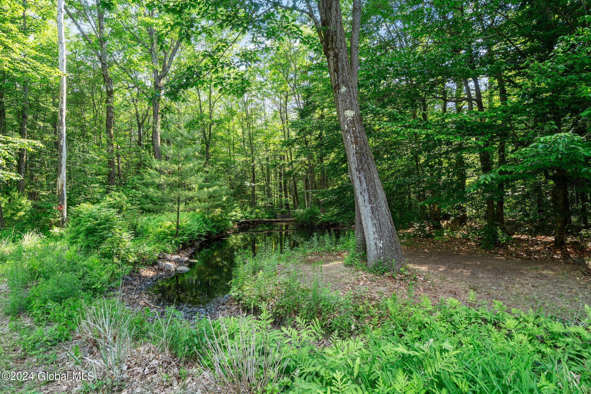 428 South Line Road Providence, NY 12074 - Photo 31 of 36 4-web-or-mls-438-south-line-rd