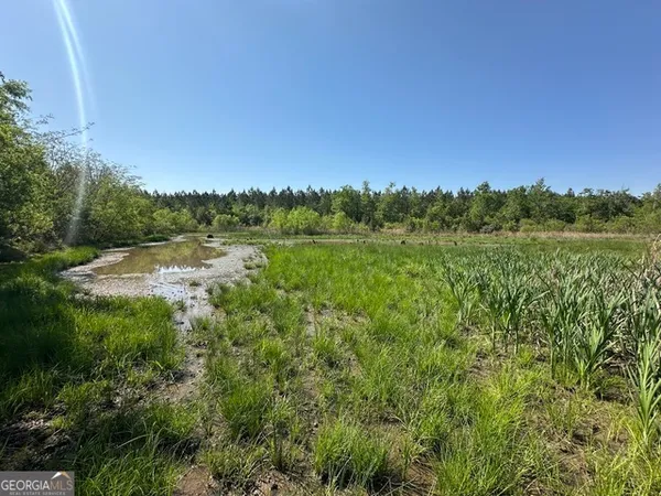 $494,900 | 0 Sardis Church Road, Kite, GA 31049