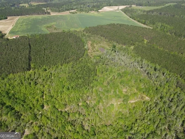 $494,900 | 0 Sardis Church Road, Kite, GA 31049