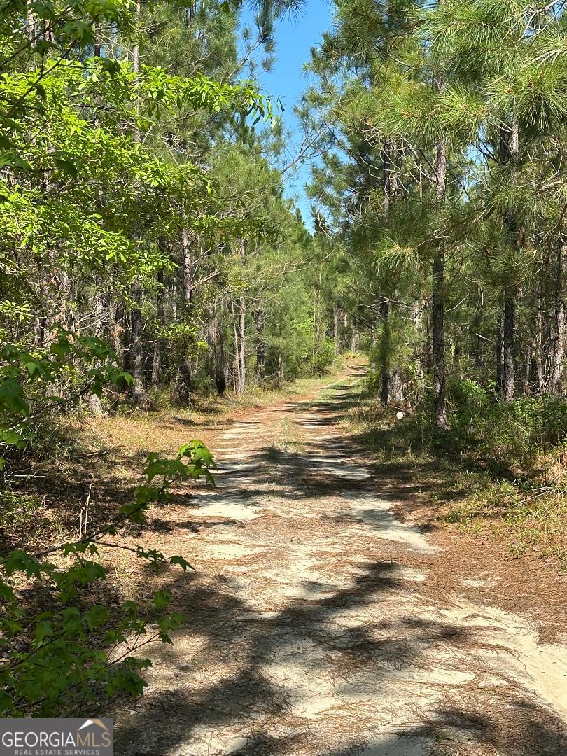 0 Sardis Church Road Kite, GA 31049 - Photo 5 of 9