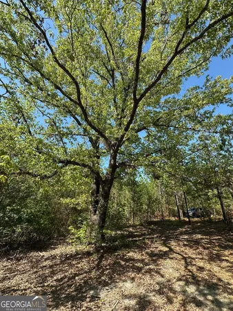 $494,900 | 0 Sardis Church Road, Kite, GA 31049