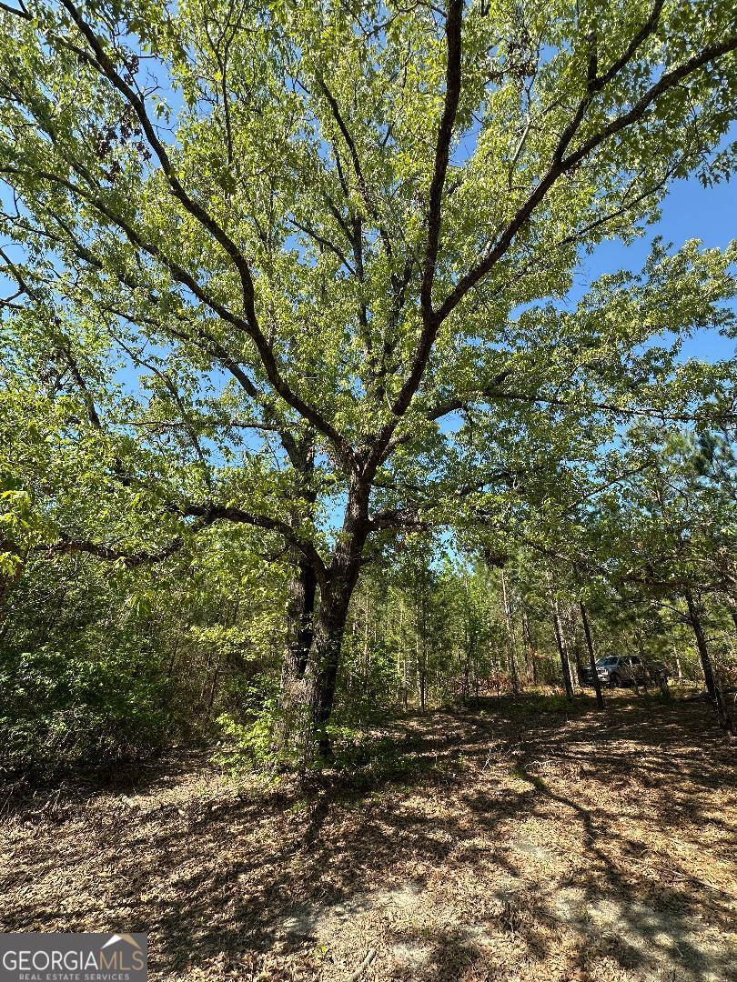 0 Sardis Church Road Kite, GA 31049 - Photo 6 of 9