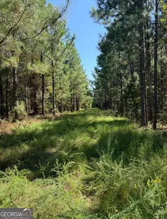 $494,900 | 0 Sardis Church Road, Kite, GA 31049